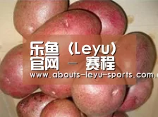 产品展示标题1