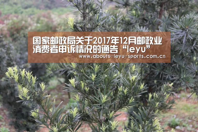 乐鱼