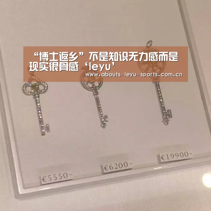“博士返乡”不是知识无力感而是现实很骨感‘leyu’(图3)