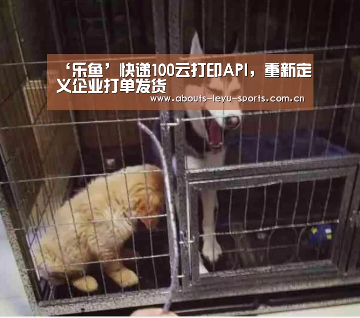 乐鱼