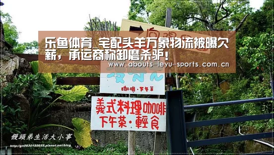 乐鱼体育